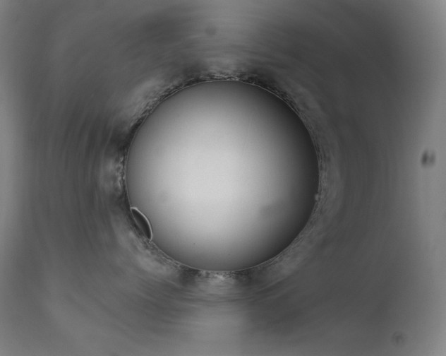 X0000111800768200907231210