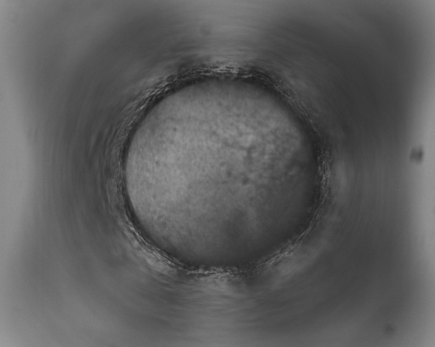 X0000111800769200907231209
