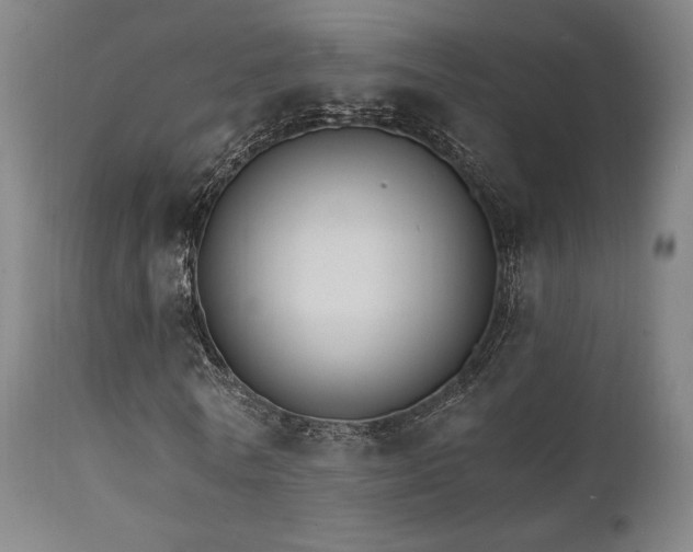 X0000111800770200907231209