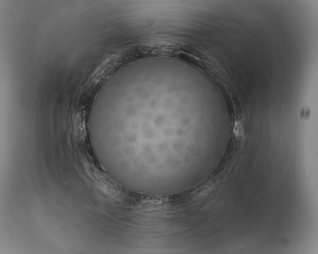 X0000111800771200907231209