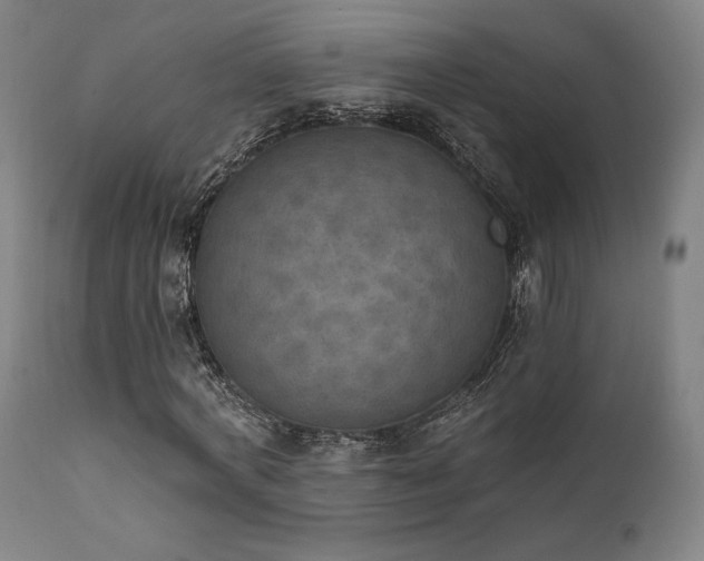 X0000111800772200907231209