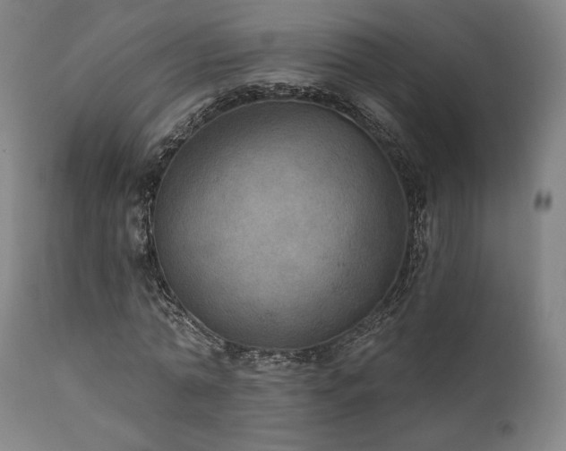 X0000111800774200907231209