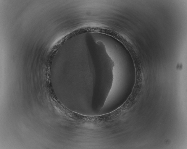 X0000111800775200907231209