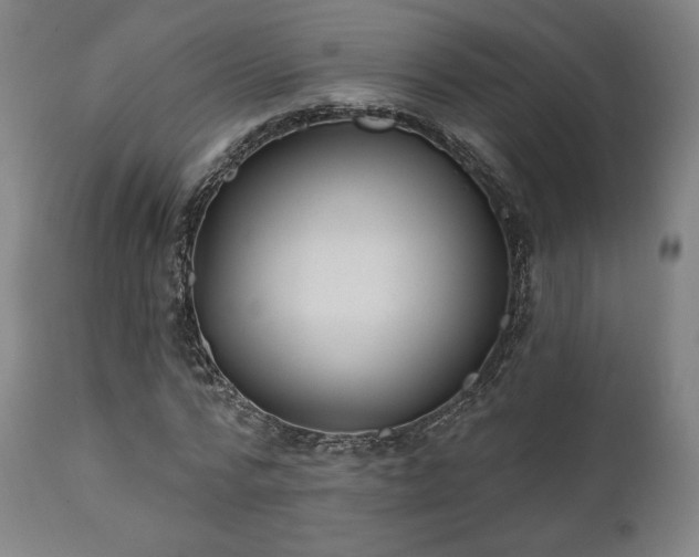 X0000111800776200907231209