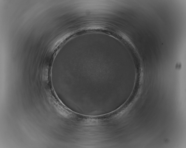 X0000111800777200907231209