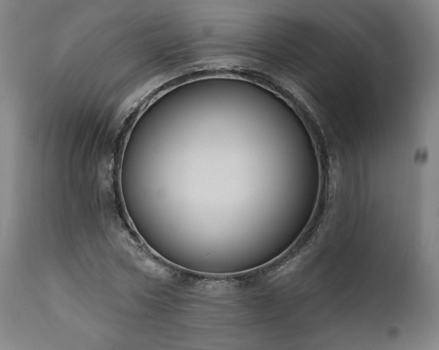X0000111800778200907231209