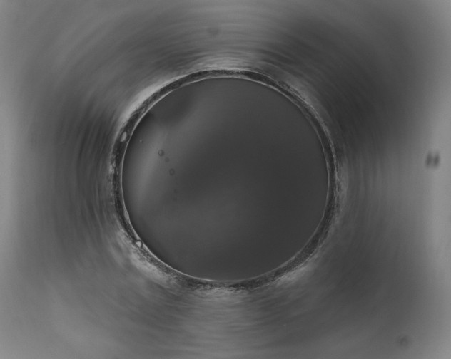 X0000111800779200907231209