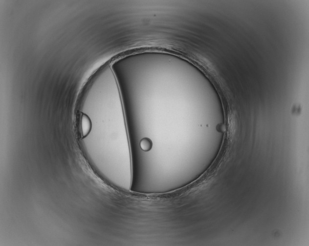 X0000111800780200907231209