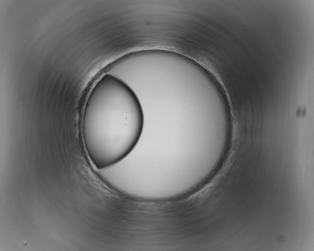 X0000111800781200907231209