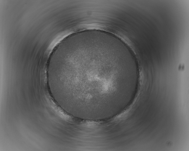 X0000111800782200907231209