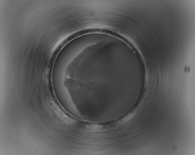 X0000111800783200907231209
