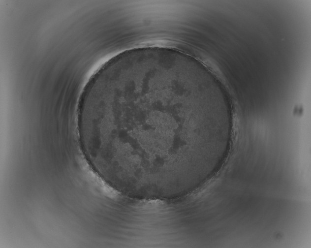 X0000111800784200907231209