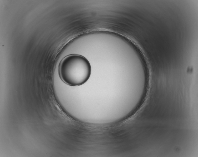 X0000111800785200907231209