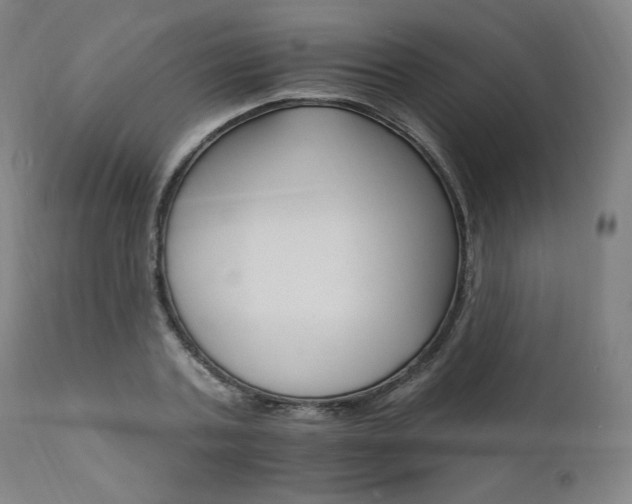 X0000111800787200907231209