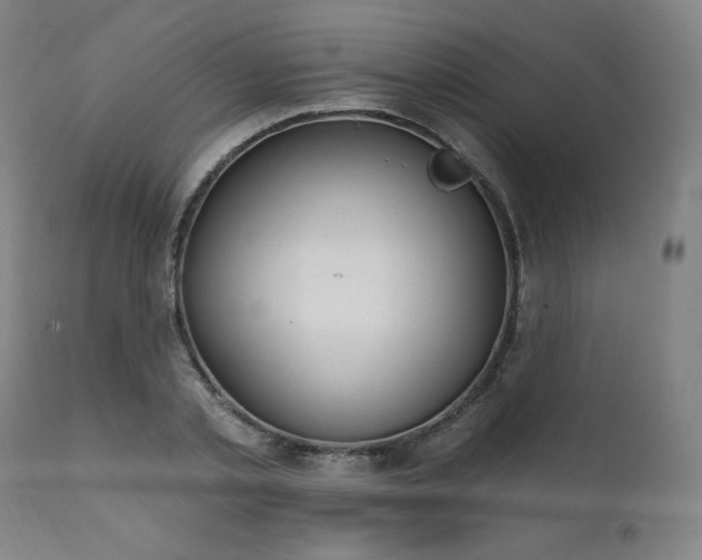 X0000111800789200907231208