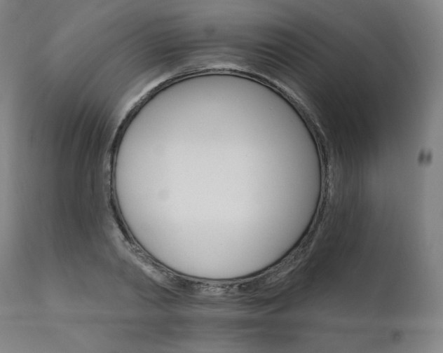X0000111800790200907231208
