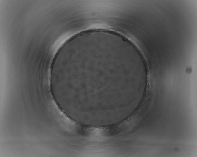 X0000111800791200907231208
