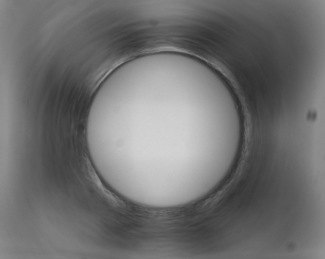 X0000111800793200907231208