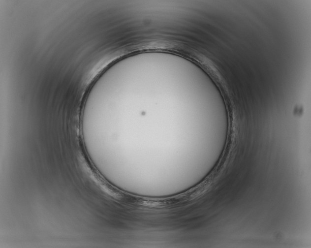 X0000111800794200907231208