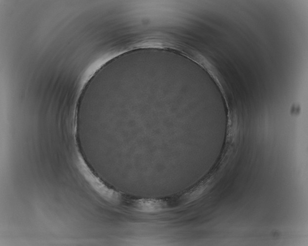 X0000111800795200907231208