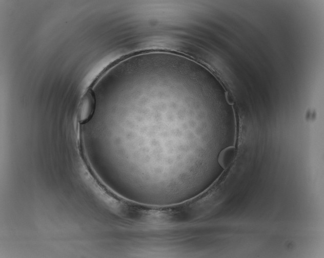 X0000111800796200907231208