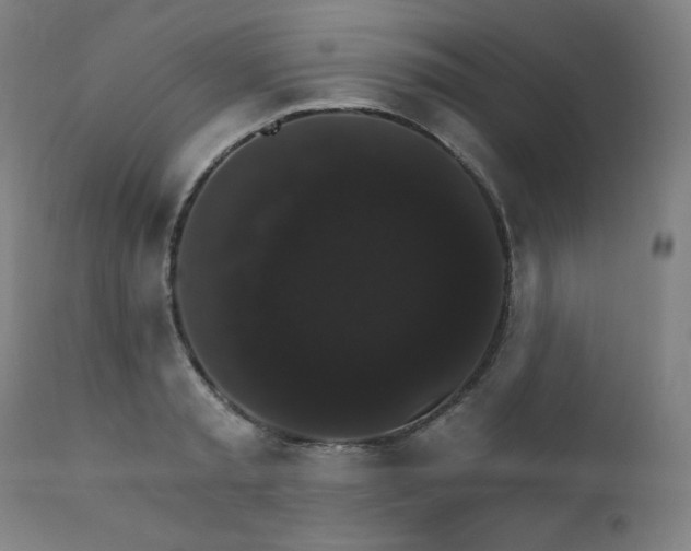 X0000111800797200907231208