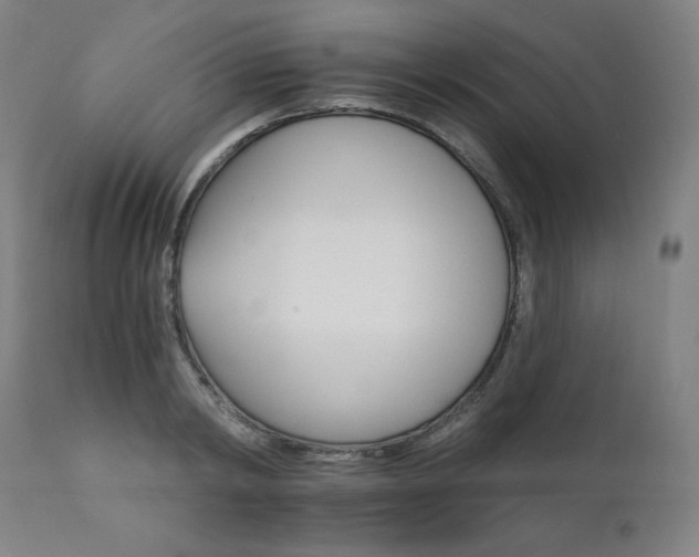 X0000111800798200907231208