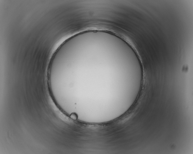 X0000111800803200907231208