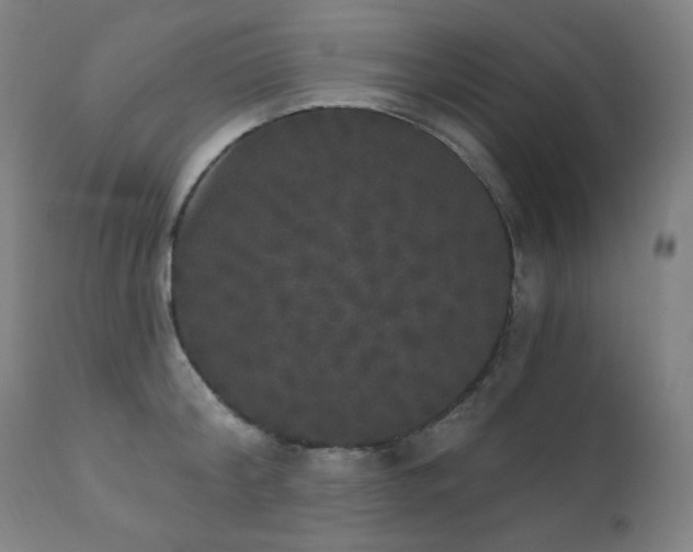 X0000111800804200907231208
