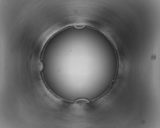 X0000111800805200907231208
