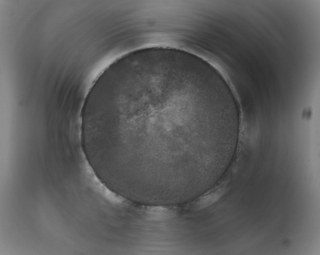 X0000111800807200907231208