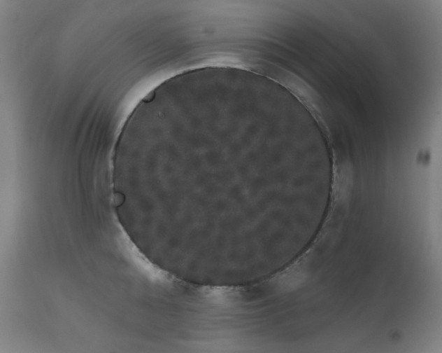 X0000111800808200907231208