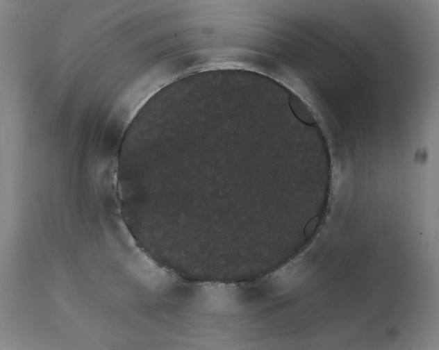 X0000111800809200907231208