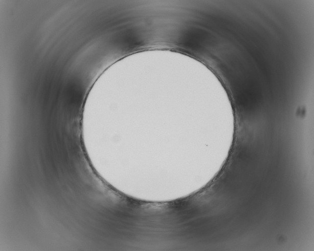 X0000111800810200907231208