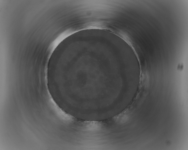 X0000111800811200907231208