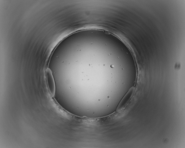 X0000111800813200907231208