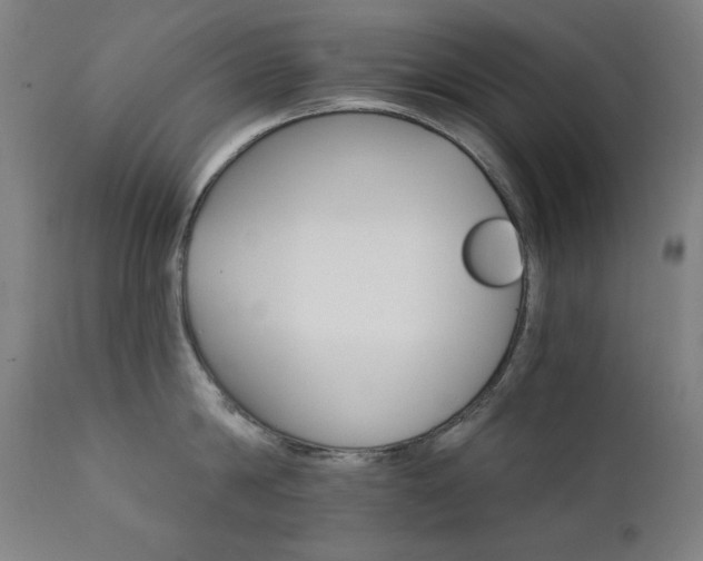 X0000111800814200907231208