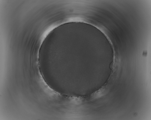 X0000111800815200907231208