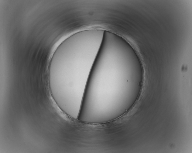 X0000111800816200907231208
