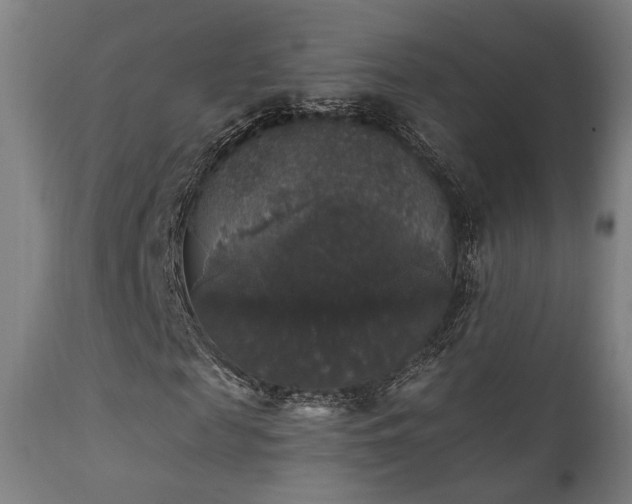 X0000111800817200907231207
