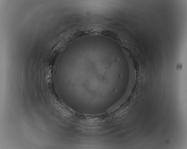 X0000111800818200907231207