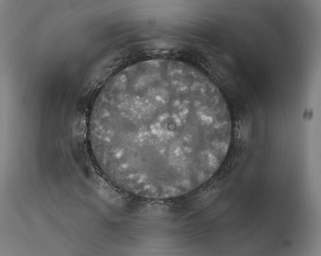 X0000111800820200907231207