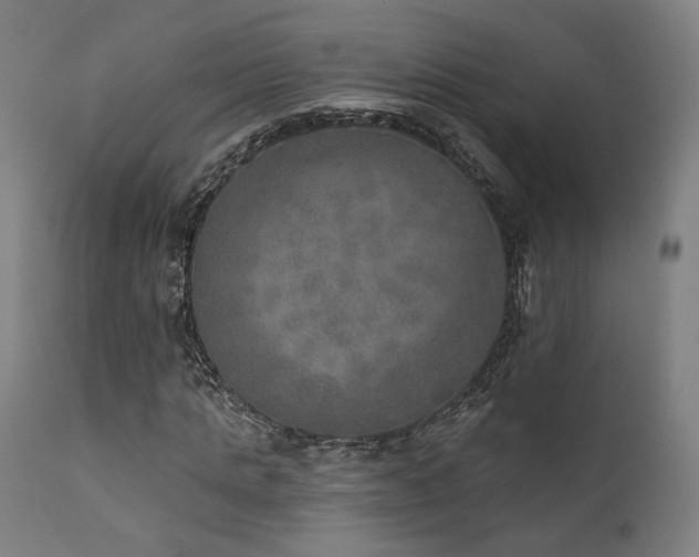 X0000111800821200907231207