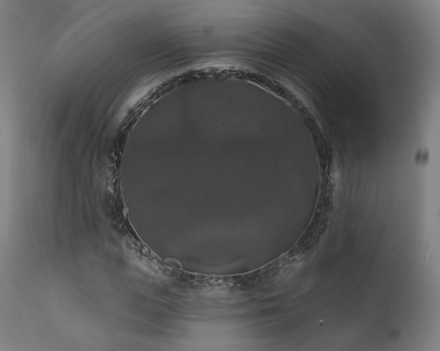 X0000111800823200907231208