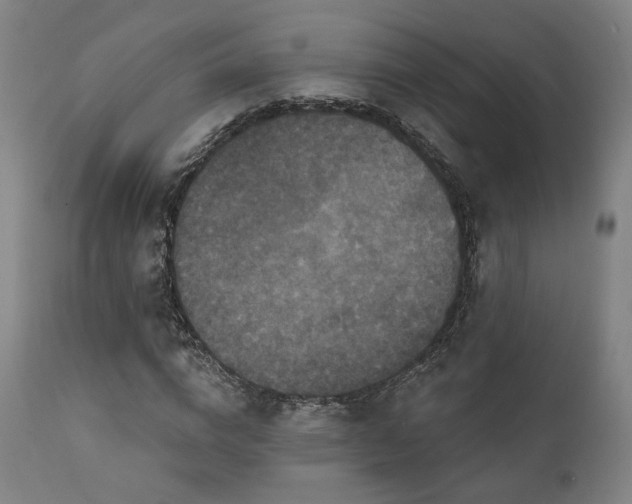 X0000111800824200907231208