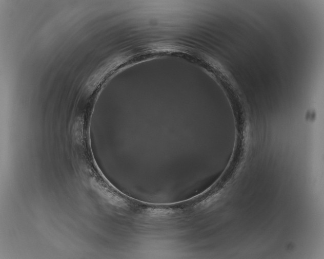 X0000111800825200907231208