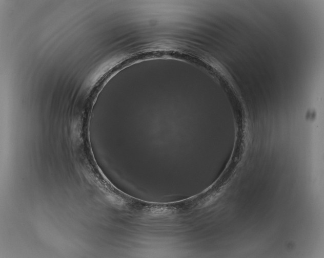 X0000111800826200907231208