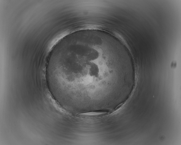 X0000111800827200907231208