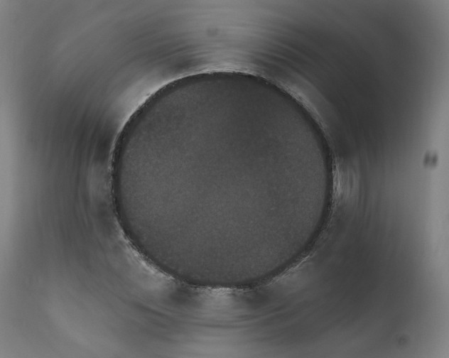 X0000111800828200907231208