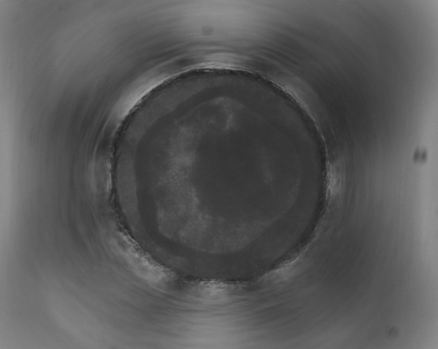 X0000111800829200907231208